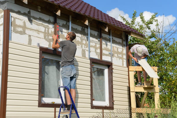 Best Vinyl Siding Installation  in Carbondale, CO