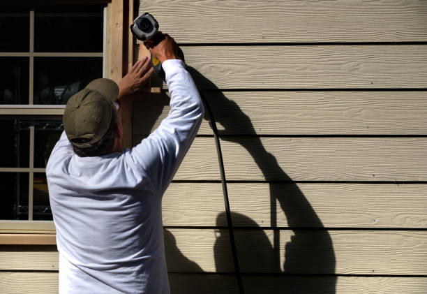 Best Historical Building Siding Restoration  in Carbondale, CO