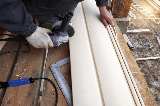 Professional Siding in Carbondale, CO