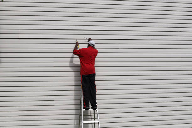 Best Siding Maintenance  in Carbondale, CO