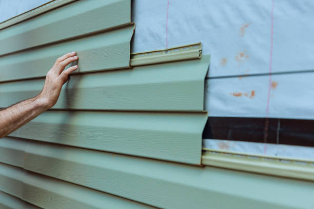 Best Vinyl Siding Installation  in Carbondale, CO
